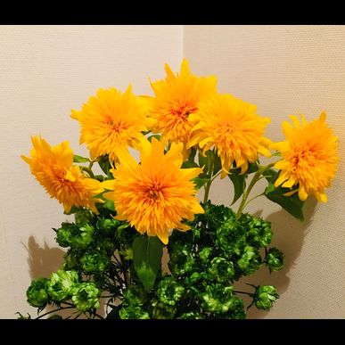 初夏の紫外線対策キャンペーン